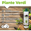 Cifo Concime liquido – Piante verdi ornamentali 1 kg