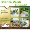 Cifo Concime liquido – Piante verdi ornamentali 1 kg