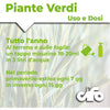 Cifo Concime liquido – Piante verdi ornamentali 1 kg