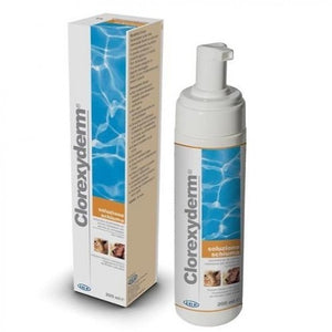 Clorexy Derm schiuma 200 ml