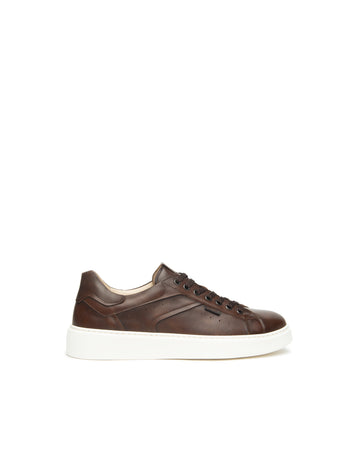 Nero Giardini sneakers uomo in pelle marone E601150U412