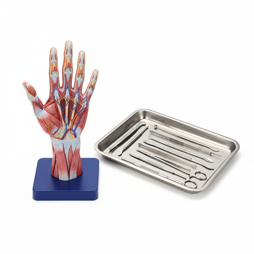 Guanto prontex latt g 100pz