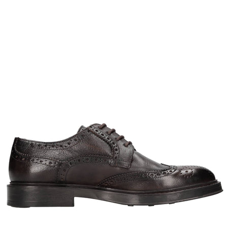 TON GOUT Scarpe basse Marrone da uomo