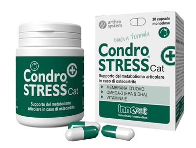 Condrostress + compresse gatto