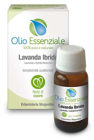Lavanda olio ess 10ml