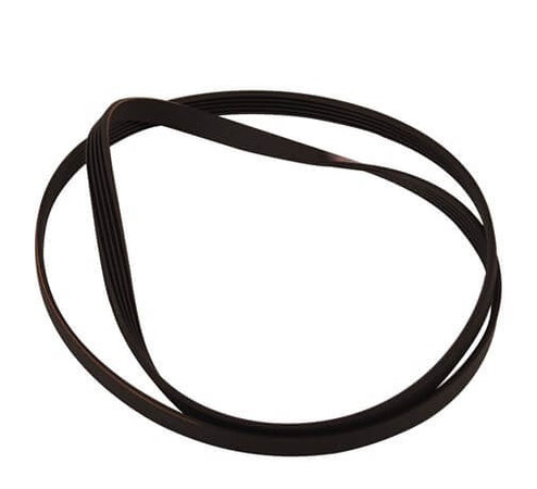 Cinghia rigata Asciugatrice universale 42232588