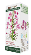 Epilobio estratto integr 200ml