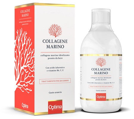 Collagene marino idrol 500ml