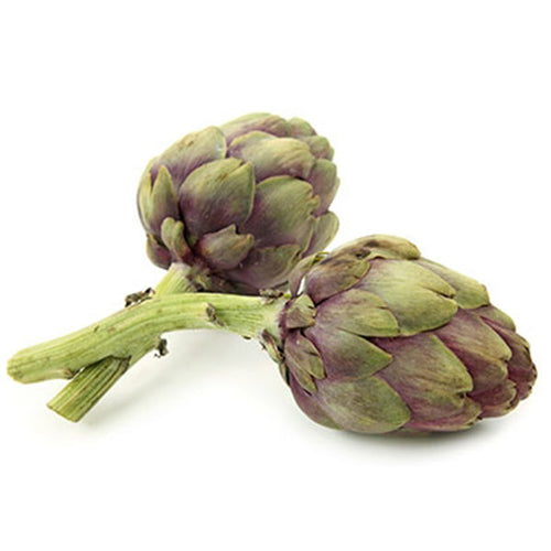 Semi di carciofo Di Romagna piante per orto e giardino