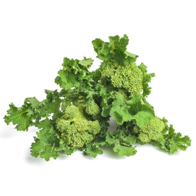 Semi di cima di Rapa Novantina cima grossa piante per orto e giardino