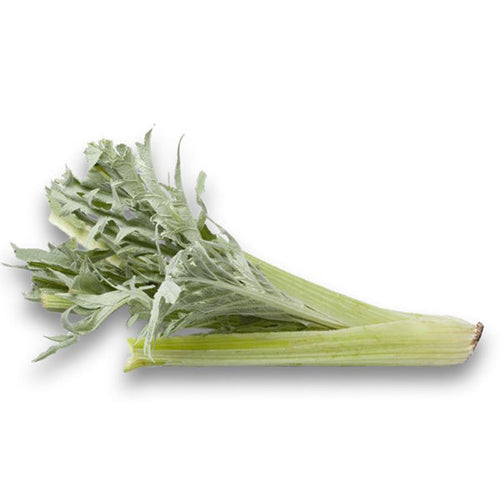 Semi di cardo Plein blanc inerme piante per orto e giardino