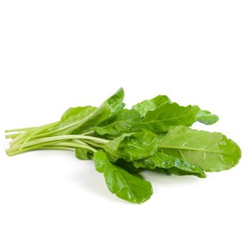 Semi di bietola verde Da taglio o erbetta piante per orto e giardino kg 0,5