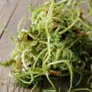 Vegetali