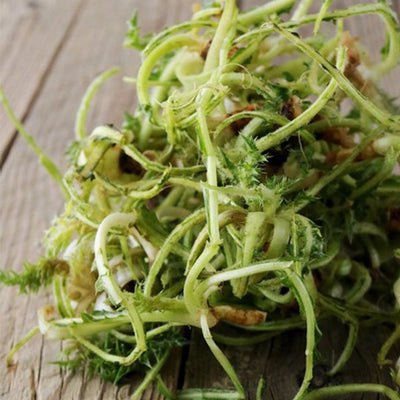 Semi di cardone cardoncello selvativo ortaggio pianta per orto e giardino