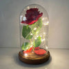 Product Image-1