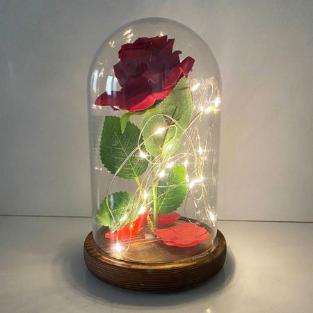 Product Image-1