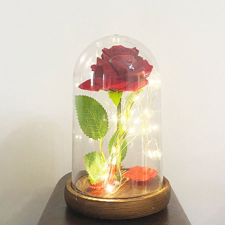 Product Image-3