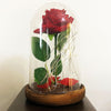 Product Image-9