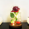 Product Image-11