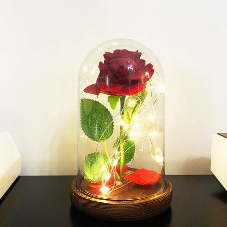 Product Image-11