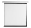 Schermo di Proiezione Motorizzato 112'' 200x200 PSA-112-2