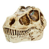 Blind testa Dinosauro GROSSMOS 121053 Assortito