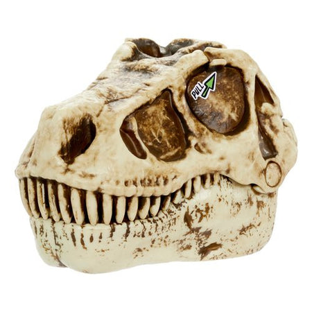 Blind testa Dinosauro GROSSMOS 121053 Assortito