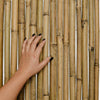 Arella in canne di bamboo naturale Ø 16 mm, stuoia ombreggiante per recinzioni
