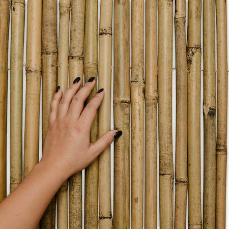 Arella in canne di bamboo naturale Ø 16 mm, stuoia ombreggiante per recinzioni