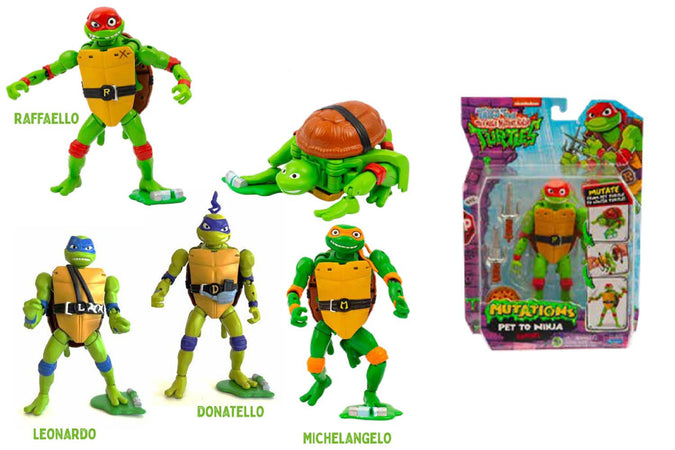 Turtles Personaggi DLX Trasformabili