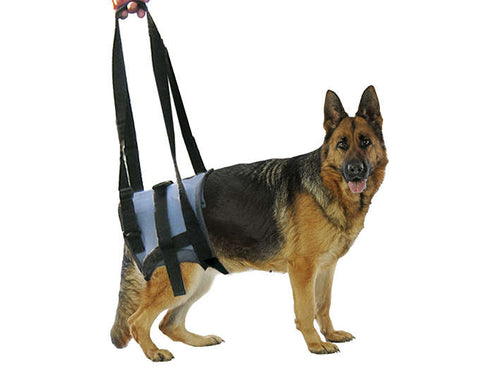 Supporto Veterinario Handy per zampe posteriori