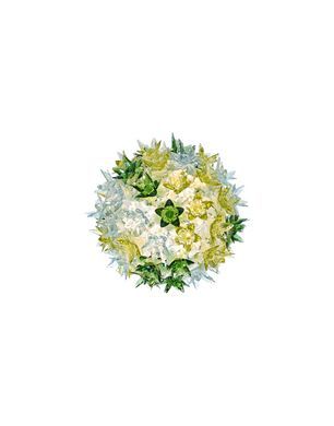 Lampada da parete o soffitto Kartell Bloom CW2 (diam.28cm)