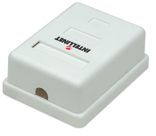 Presa a Muro con Frutto RJ45 Cat. 5E UTP Beige