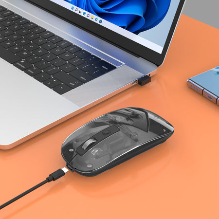 Mouse Ottico Wireless 800-1600 dpi con Micro Ricevitore USB Nero Trasparente