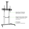 Supporto a Pavimento Trolley TV LCD/LED/Plasma 60-100''