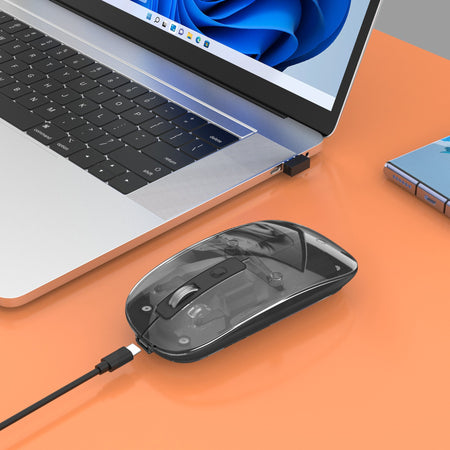Mouse Ottico Wireless 800-1600 dpi con Micro Ricevitore USB Nero Trasparente