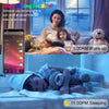 Kit Striscia LED Intelligente 5m con Funzione Musicale e Controllo Vocale Alexa, R5149