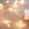 Luci Natalizie da Interno 20 LED a Filo Argentato con Timer A++