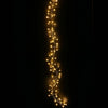 Stringa di 50 Luci LED a Grappolo di Filo d'argento Bianco Caldo IP44