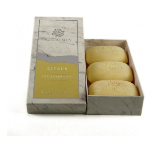 Sapone Alchimia Tuscan Christmas Sapone 500 ml