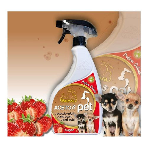 Disinfettante spray Breva Aceto 8° cucce cani fragola