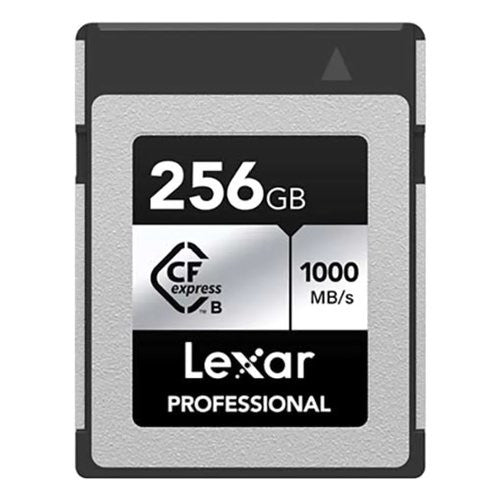 Scheda di memoria Lexar LCXEXSL256G RNENG PROFESSIONAL Silver e Black