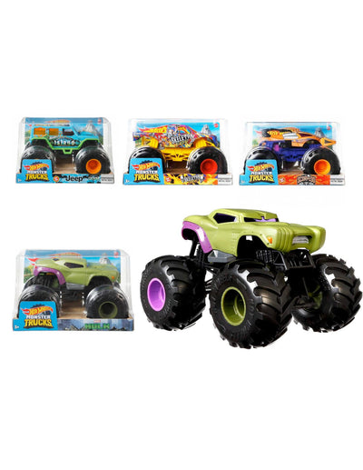 HOT WHEELS FYJ83 Monster Truck 1:24 Assortito