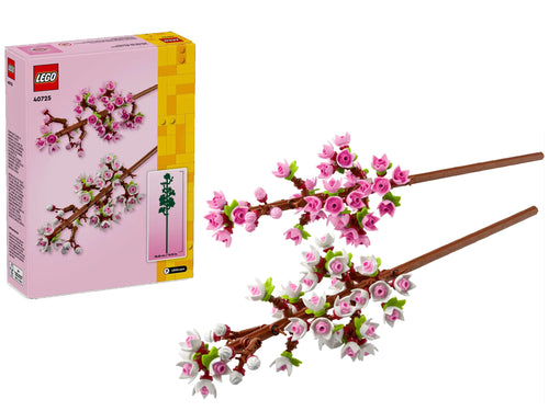 Fiori di Ciliegio