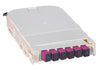 Scatola di Giunzione Fibra Ottica Modulo FTTH con 6 Adattatori Ceramici SC OM3