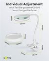 Lampada LED con Lente d'ingrandimento Base di Appoggio e Clip da Tavolo 6W Bianco