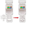 Plug Cat.6A RJ45 UTP Toolless con Copriconnettore