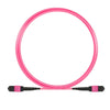 Cavo Patch a 12 Fibre MTP-F/MTP-F OM4 Code B 3 metri