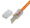 Confezione 100 Plug modulari RJ45 Passanti Cat6 UTP