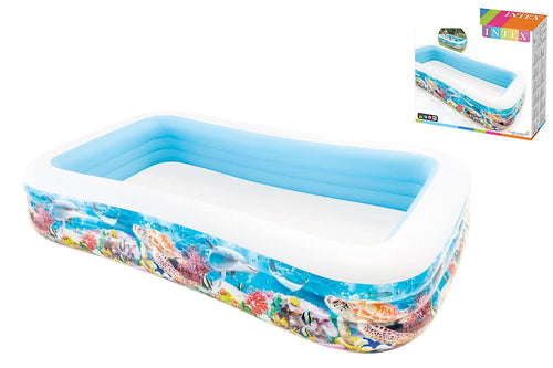 Piscina Family Pesci Rett. 305x183x56